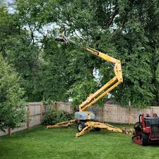 Best Palm Tree Trimming  in Polk City, FL