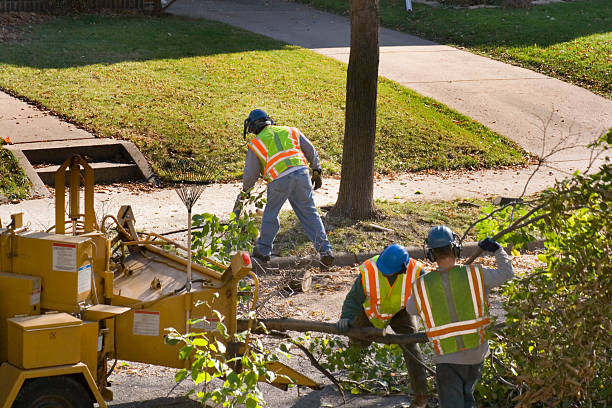 Best Leaf Removal  in Polk City, FL